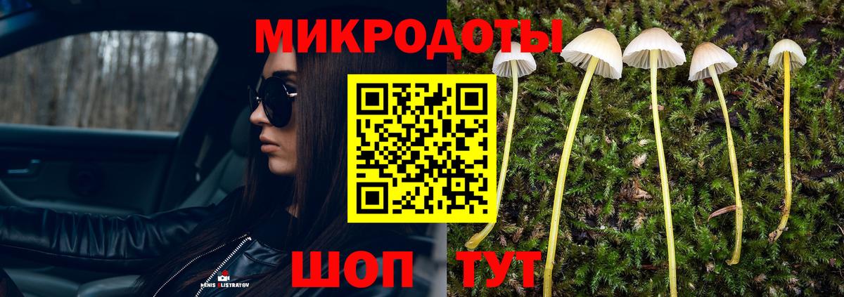 Псилоцибиновые грибы мицелий  Псилоцибиновые грибы Psilocybe  Биробиджан  Вход с VPN 